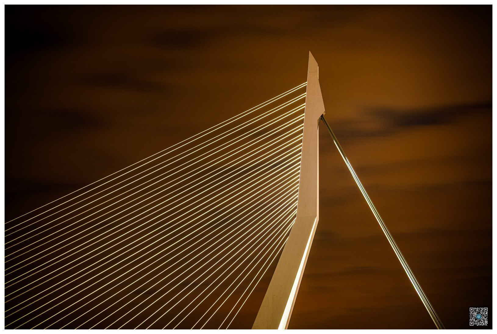 erasmusbrug - rotterdam