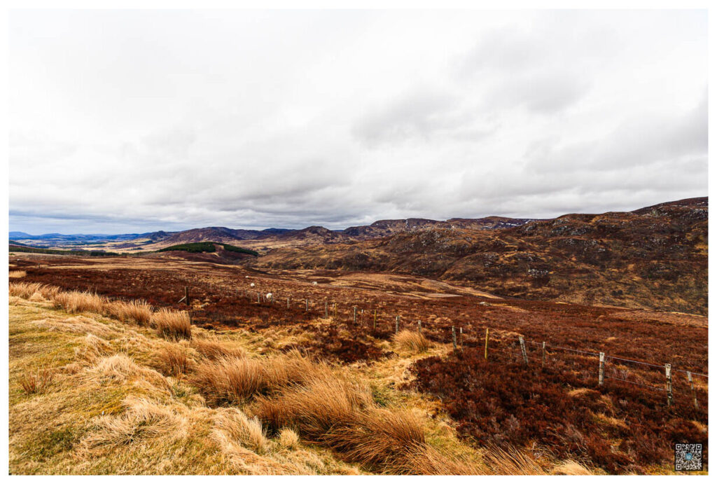 ecosse_0007