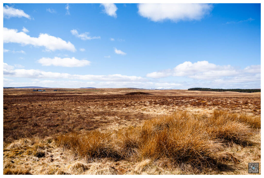 ecosse_0009