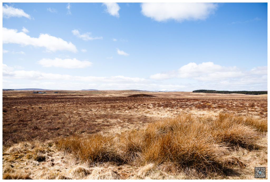 ecosse_0009.jpg