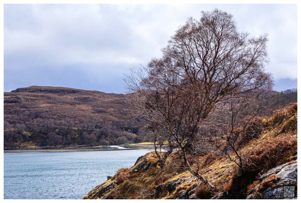 ecosse_0011