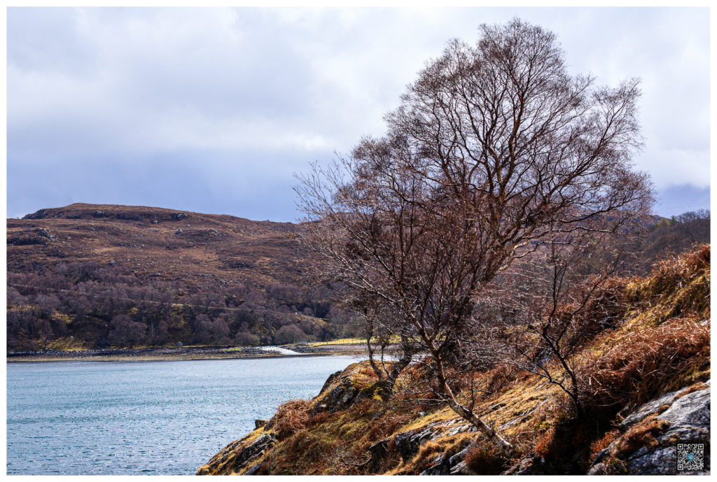 ecosse_0011.jpg
