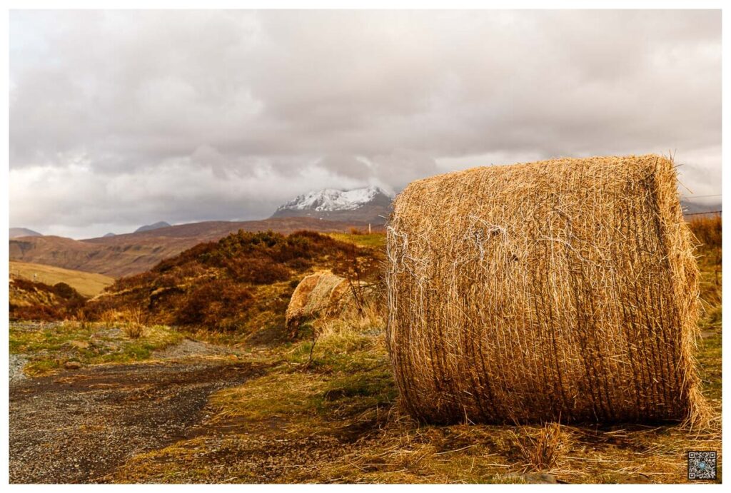 ecosse_0022