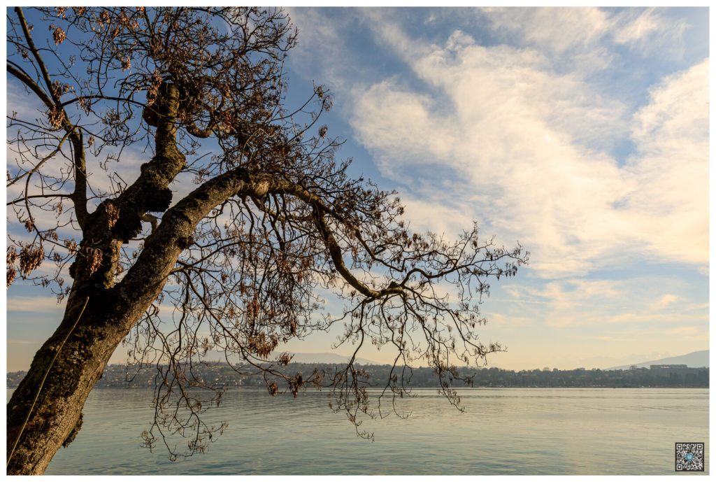 geneve_0008.jpg