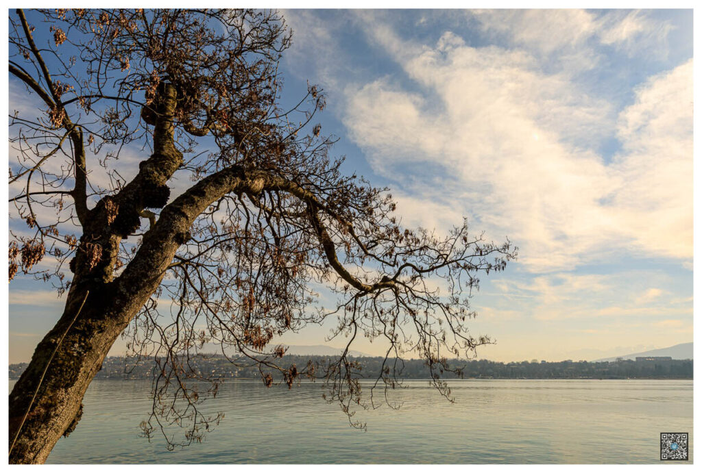 geneve_0008