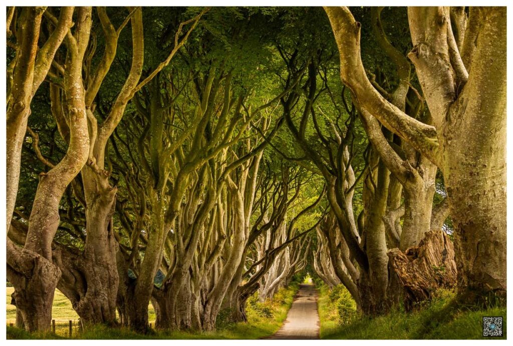 irlande_0010