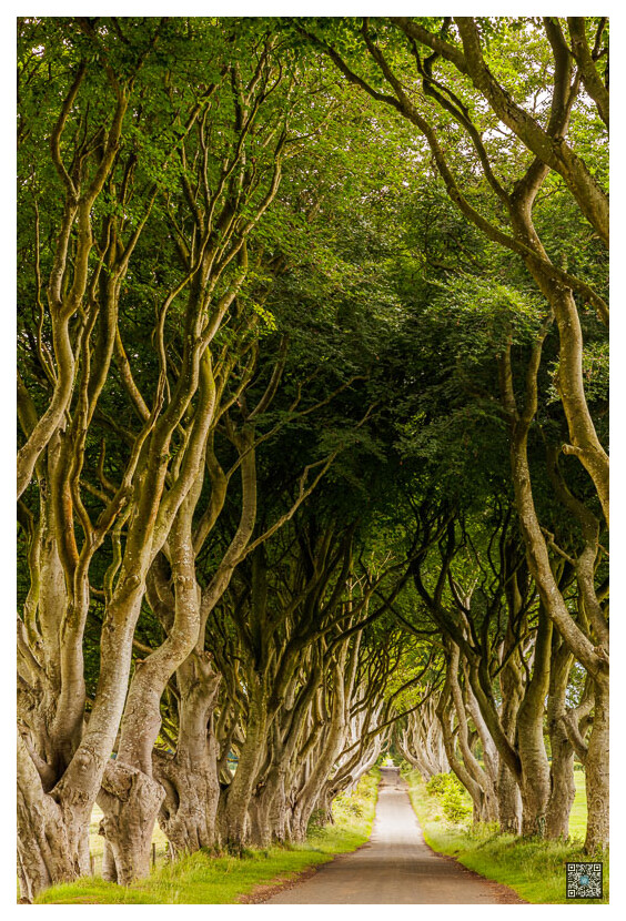 irlande_0011