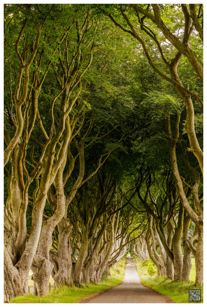 irlande_0011.jpg