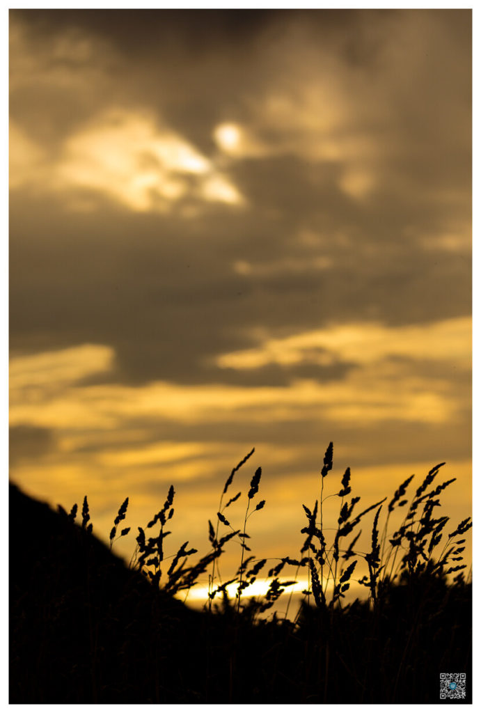 irlande_0013.jpg