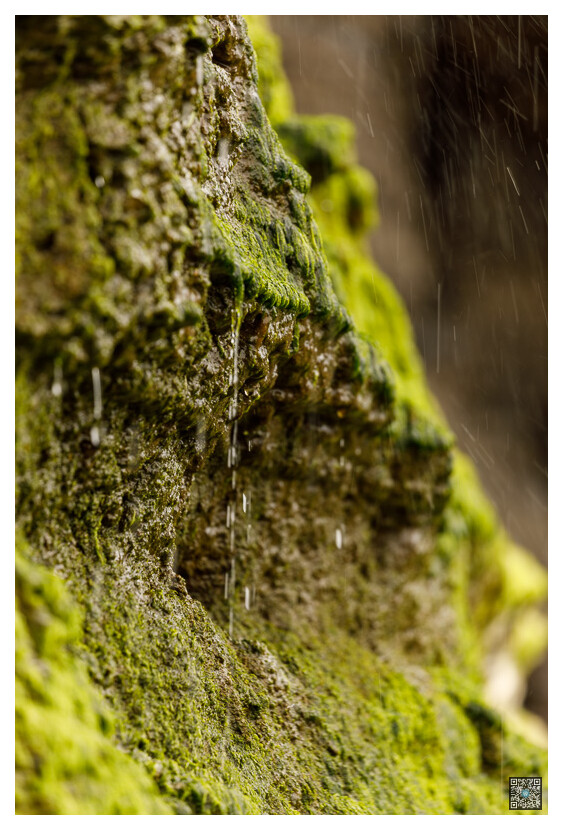 irlande_0029
