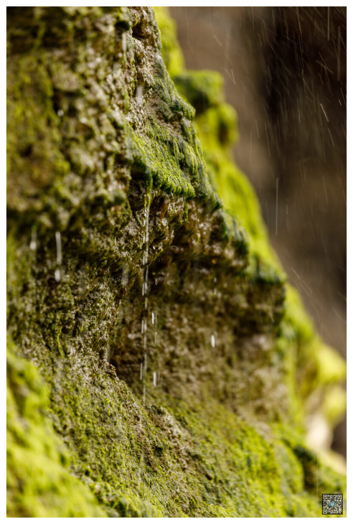 irlande_0029.jpg