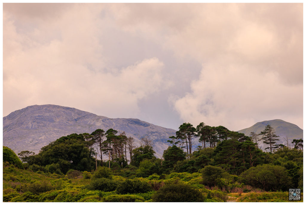 irlande_0054.jpg