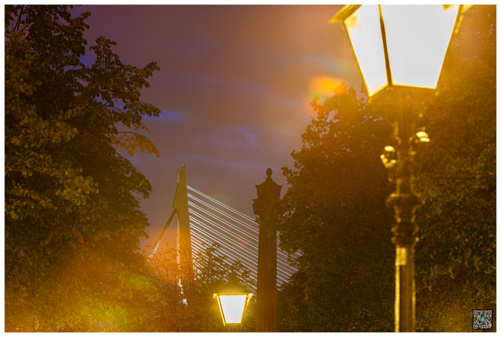 rotterdam_0023.jpg