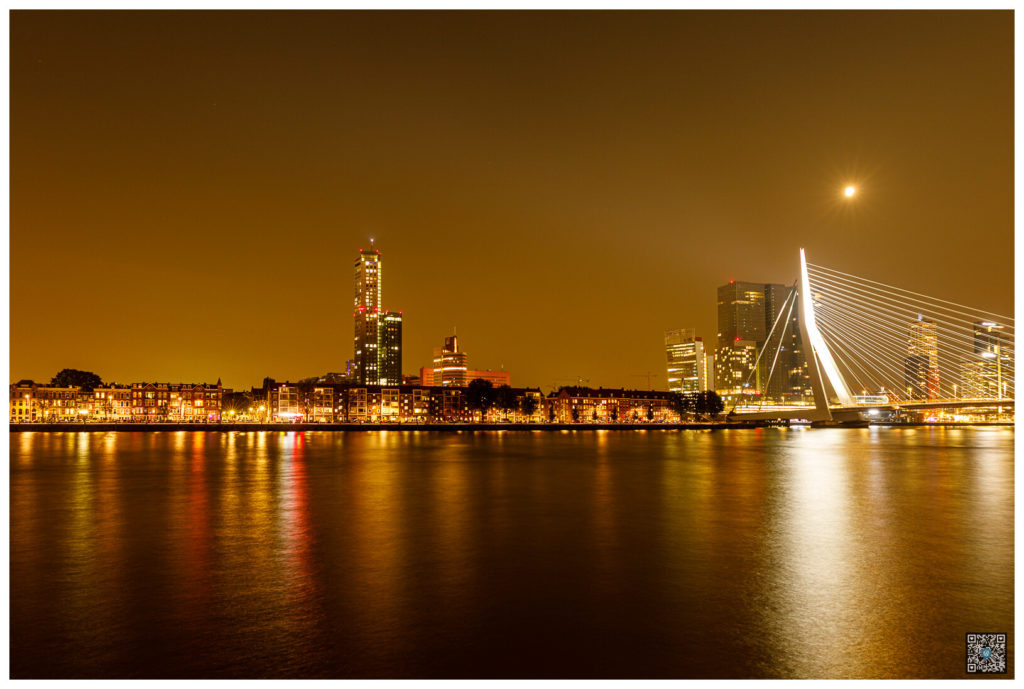 rotterdam_0041.jpg
