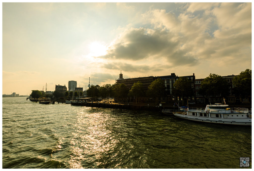 rotterdam_0049.jpg