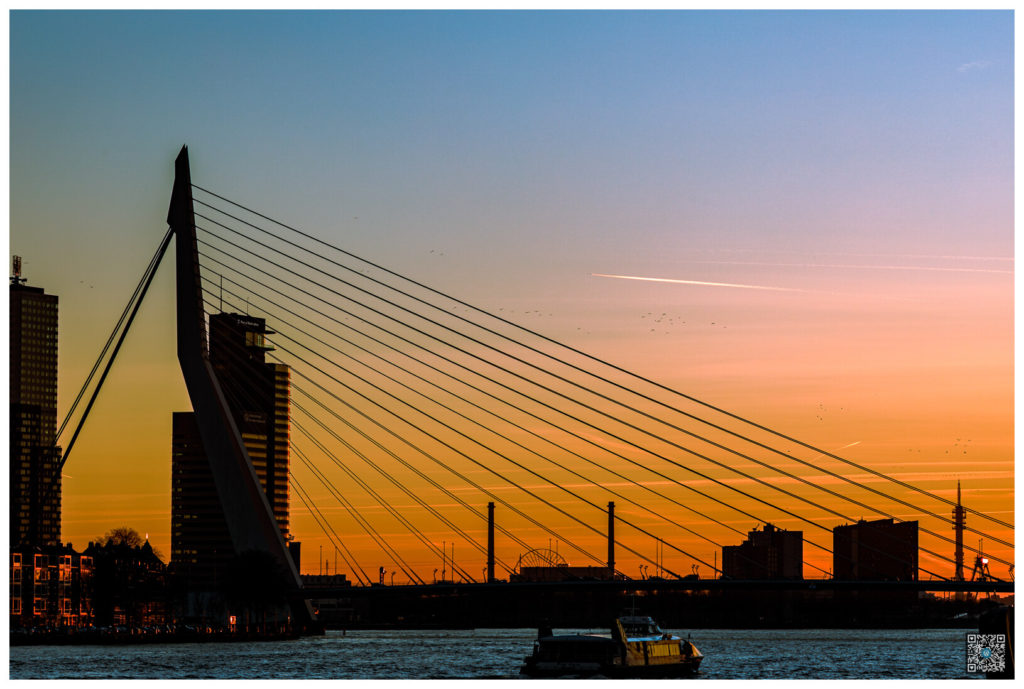 erasmusbrug - rotterdam