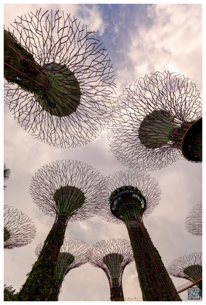 singapour_0007.jpg
