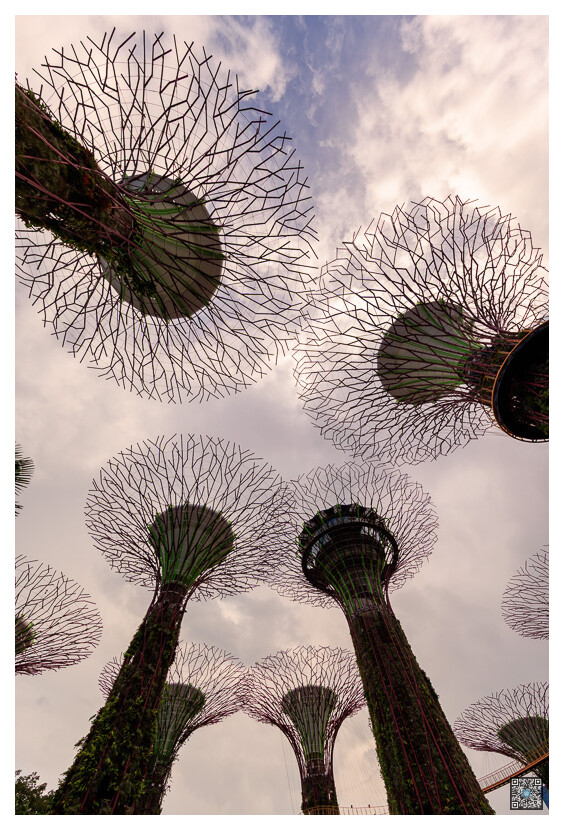 singapour_0010